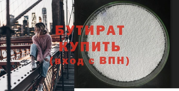 СК Ельня