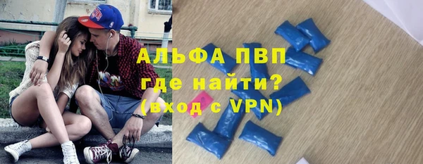 СК Ельня