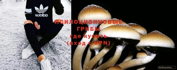 марки nbome Заводоуковск