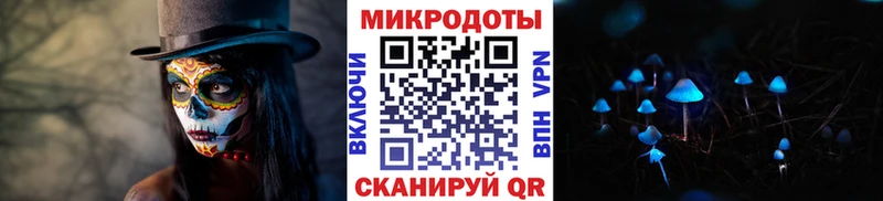 Купить  Короча  Галлюциногенные грибы мицелий 